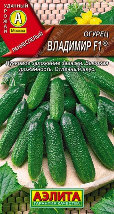 Сорта огурцов для Владимирской области названия, фото, описание