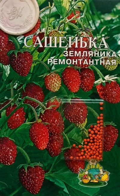 Клубника Сашенька описание сорта, фото и отзывы