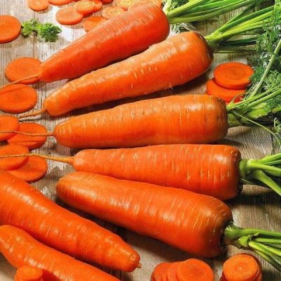Морковь Флакке описание сорта, фото, отзывы, посадка и уход