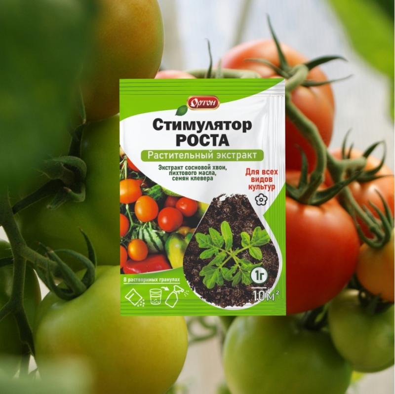 Как помочь растениям эффективно развиваться в условиях сурового климата