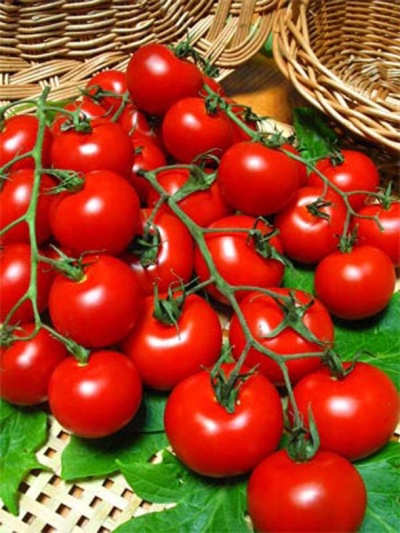 томат ожерелье красное характеристика и описание сорта