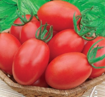 Лучшие полудетерминантные томаты 2023 года: какие полудетерминантные сортатоматов лучше купить, как правильно выбрать, фото, характеристики,урожайность, описание сортов - Ортон