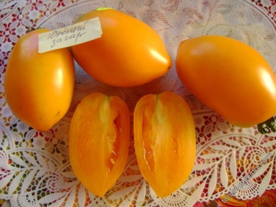 томат оранжевый загар описание сорта фото отзывы