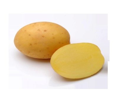 Картофель Мадейра: отзывы, описание сорта, фото, видео, отзывы,характеристики - Ортон