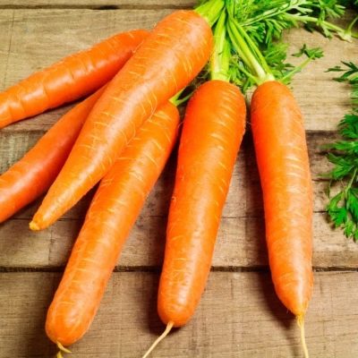 Морковь Королева осени описание и характеристики сорта, фото, отзывы