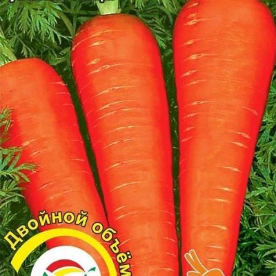 Морковь Алтайская лакомка описание сорта, фото и отзывы