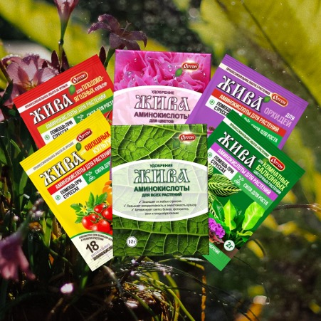 Польза аминокислот для растений