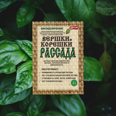 Помогаем рассаде пуститься в рост!
