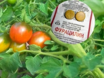 Подкормка томатов Фурацилином: в теплице и открытом грунте - Ортон