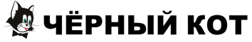 Черный кот