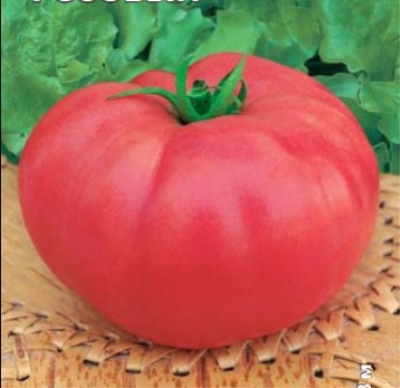Томат Розовый клык: описание сорта помидоров, характеристики, посадка, выращивание. Болезни, вредители, отзывы.