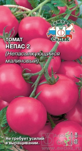 Непас 2