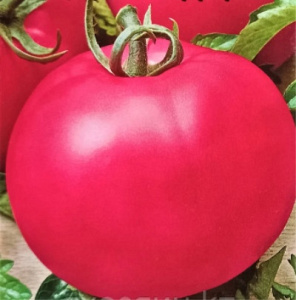 Борная кислота для томатов: опрыскивание, дозировка в теплице и открытомгрунте - Ортон