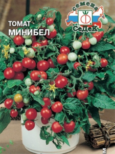 Особенности выбора томатов для вяления в домашних условиях: советы и рекомендации