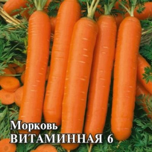 Витаминная 6