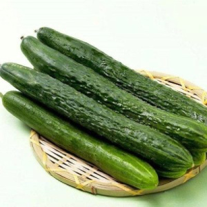 Манул