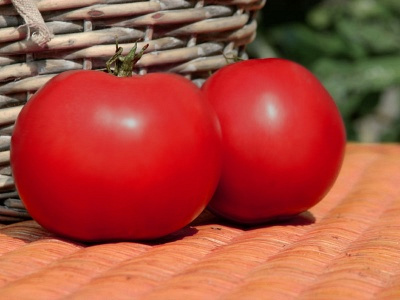 Лучшие томаты для Урала 2023 года: какие сорта томатов для Урала лучшекупить, как правильно выбрать, фото, характеристики, урожайность, описаниесортов - Ортон