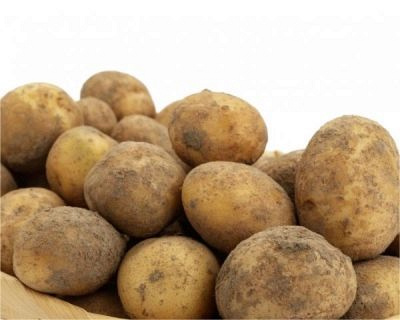 картофель боровичок описание сорта